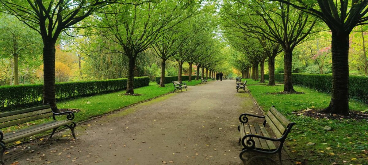 פארק רומברג בדורטמונד